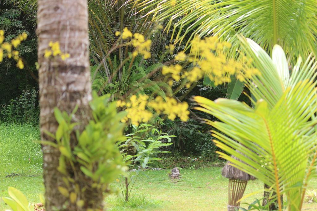 Pousada Quartinho De Praia Boipeba Island Dış mekan fotoğraf